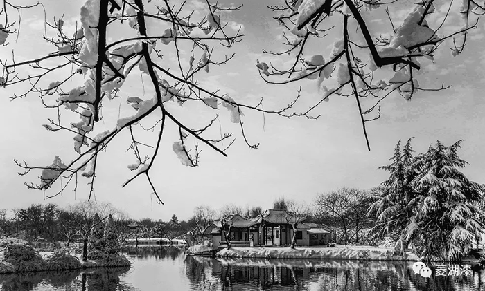 说好的暴雪倾城，是这样吗？